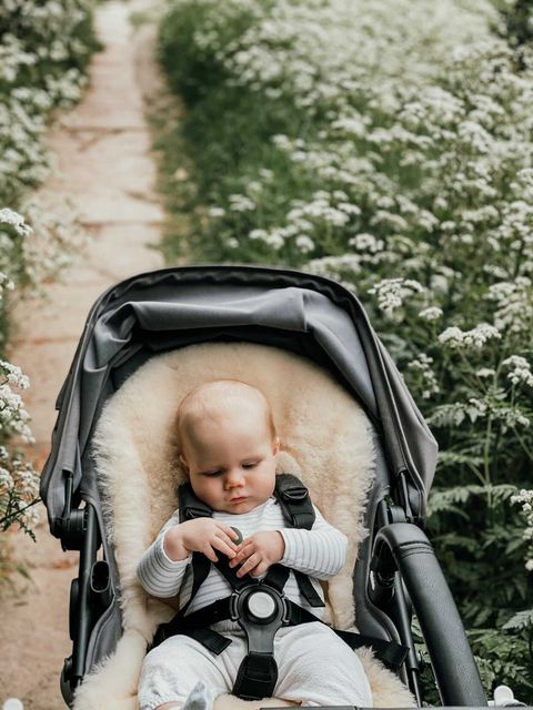 Sheepskin pram liner for a bugaboo pram