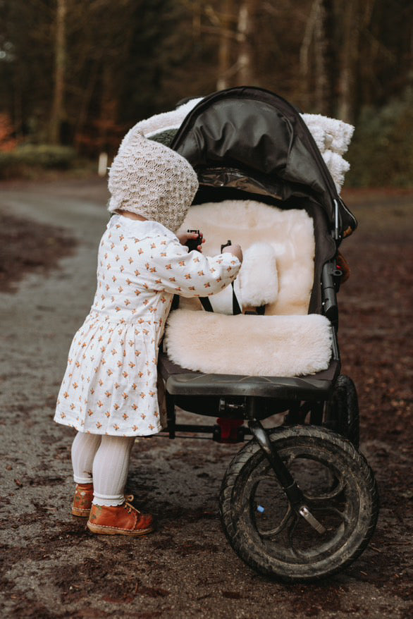 Autumn bundle