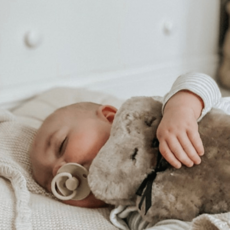 Flatout sheepskin teddy bear, latte colour, newborn comforter